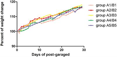 Effects of Rhodotorula mucilaginosa on the Immune Function and Gut Microbiota of Mice